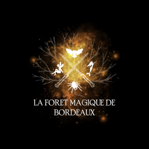La Forêt Magique du Bassin